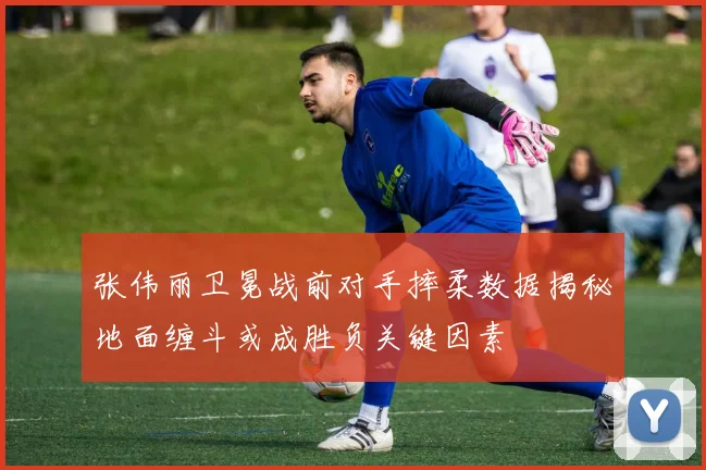 张伟丽卫冕战前对手摔柔数据揭秘地面缠斗或成胜负关键因素